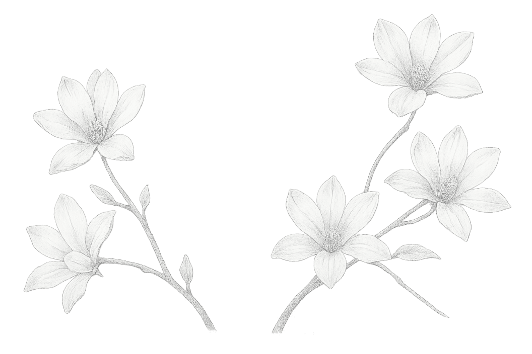Background flowers
