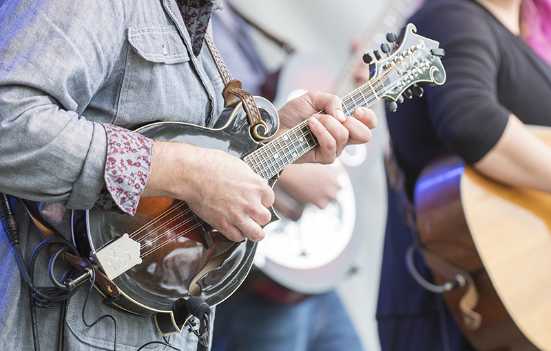 Close up shot of man in denim shirt playing a mandolin.